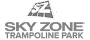 logo of skyzone trampoline park grey color